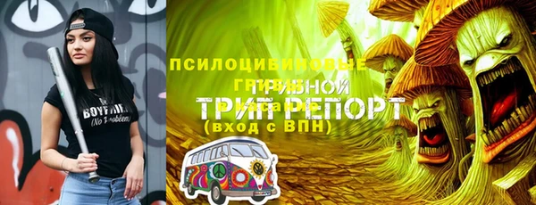 mdpv Инта