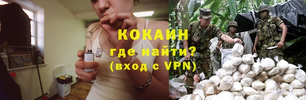 прущая мука Инсар