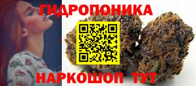 прущие грибы Изобильный