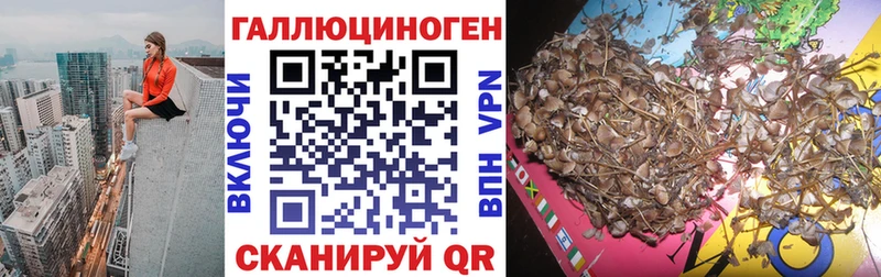Галлюциногенные грибы ЛСД сколько стоит Армавир