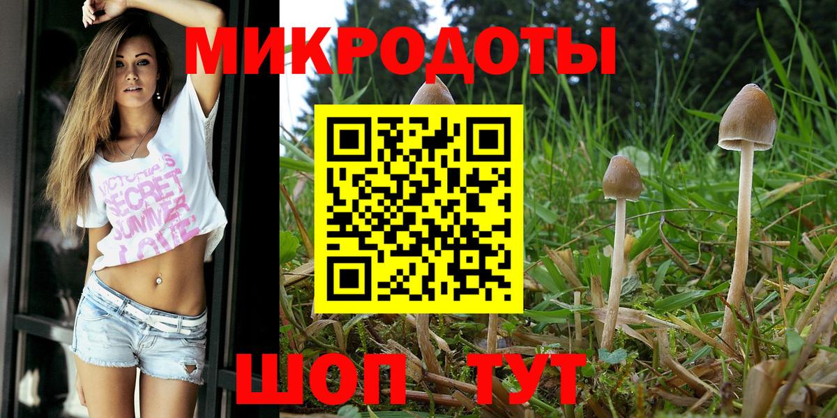 Армавир  Псилоцибиновые грибы ЛСД  Вход с VPN 